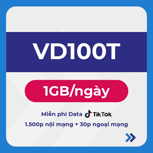 6VD100T